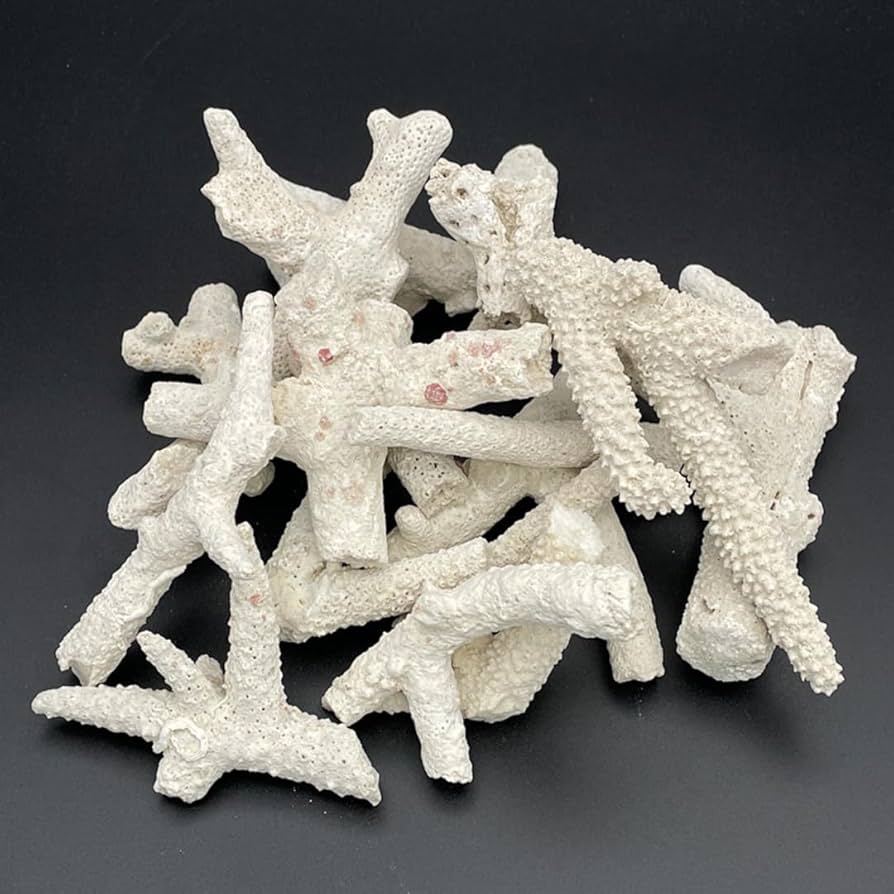 サンゴ砂、海水水槽底砂、海水魚底砂 バクテリア付きサンゴ砂 マリンアクアリウムの底床 | AQUALASSIC